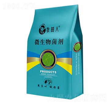 ֲ��I(y��ng)�B(y��ng)��-������EM��-��̩����