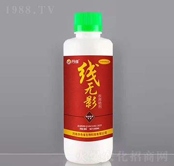 �r(n��ng)������-���oӰ-��ȸ