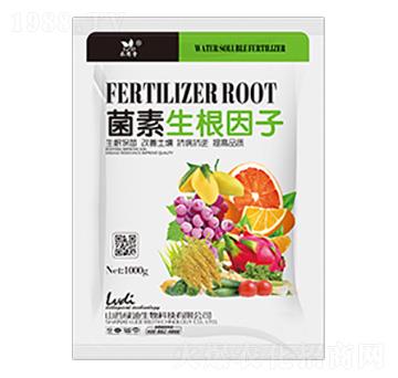 ������������-�G������