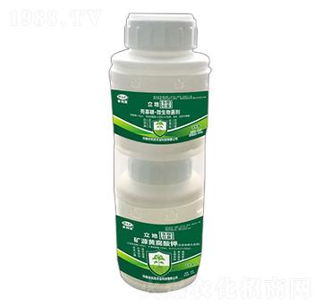 ���������ײ�-����-�r(n��ng)���l(f��)