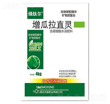 ������ֱ�`-�G�Ġ�-��