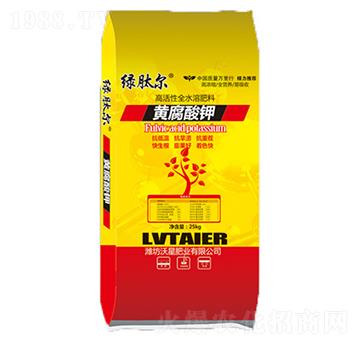 �S�����-�G�Ġ�-����