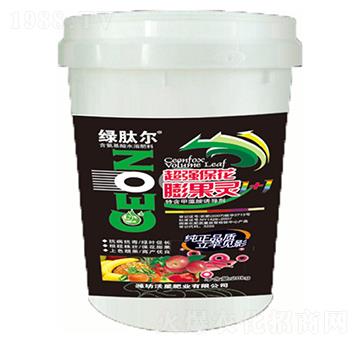 ��������`-�G�Ġ�-��