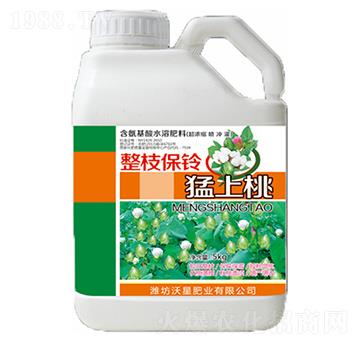 ��֦���������-���Ƿ�