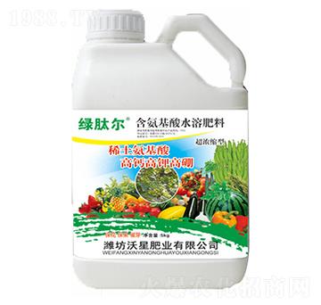 ϡ����������}��⛸���