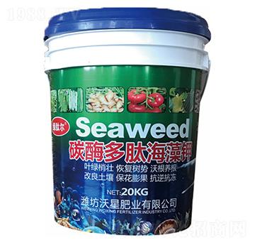 ̼ø���ĺ����-���ǷʘI(y��)