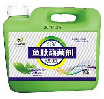 �����ʢ�~��ø����-̩������