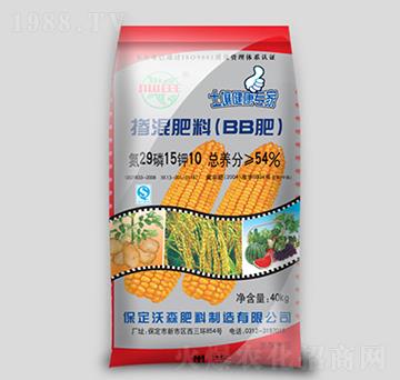 ���ד�����ϣ�BB�ʣ�29-15-10-��ɭ����