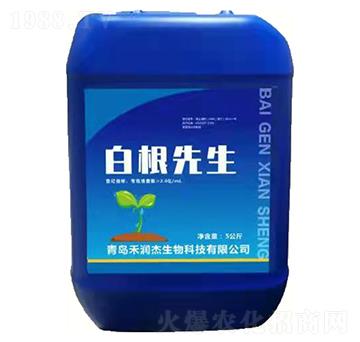 �׸�����-�̝�(r��n)��