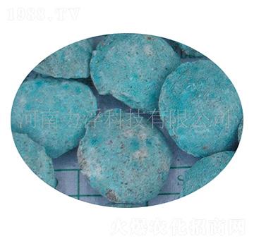 �ؙ������ؘ��-�����Ƽ�