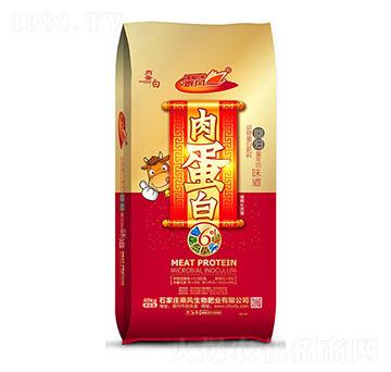 �⵰��-���L����