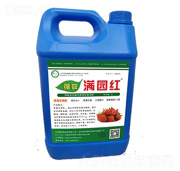 �M�@�t-��(qi��ng)��-������