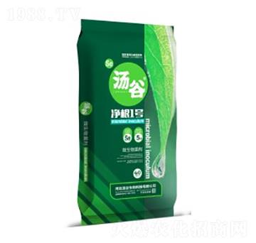 40kg΢�������-����1̖-��������