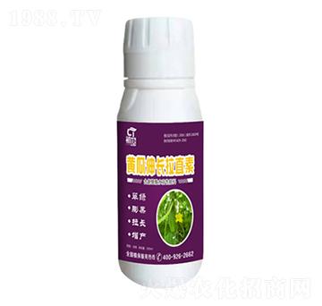 �S�����L��ֱ��-����-�֮��