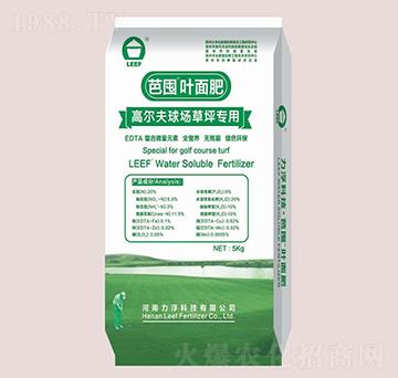 �ߠ����ƺ�����~���-�Ŷ�-�����Ƽ�