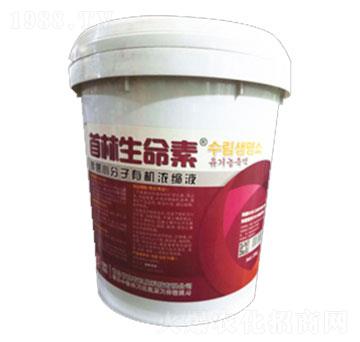 ����������-�����r(n��ng)�I(y��)