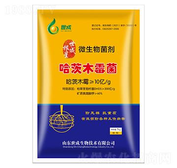 ΢�������-���ɸ���