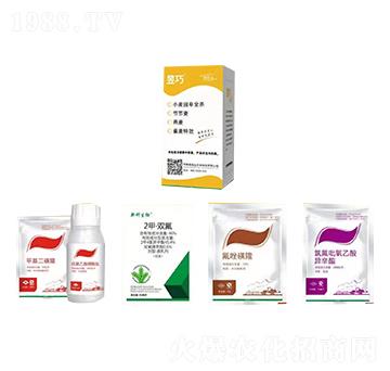 С����ȫ���ͳ��݄�-����-�����_