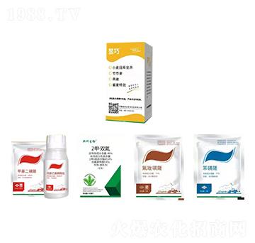 ����С�����ȫ���M�����b-�����_