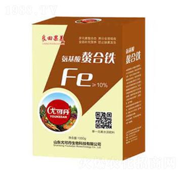 �����������F-�������-�ȿɵ�