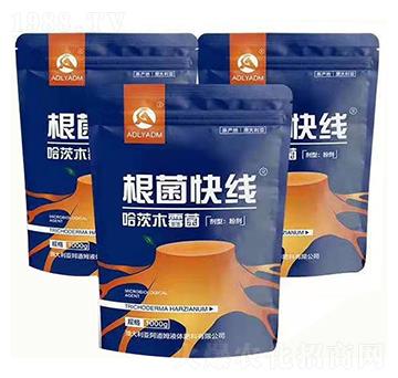 ����ľù��-�����쾀-����ķ