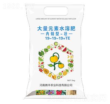 ��(n��i)�N�ʹ���Ԫ��ˮ�ܷ���19-19-19+TE-��-�v�S�r(n��ng)�I(y��)