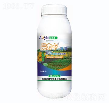 ħ��������-����ɭ-��������