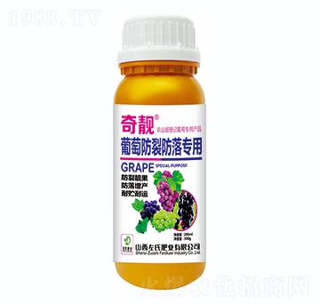 ���ѷ��ѷ��䌣��-���n-���ϷʘI(y��)