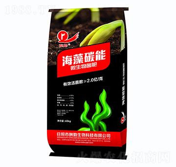 ����̼��΢�������-����