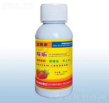 ݮ��(l��)-�˼��H-�ڰ�