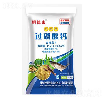 �^(gu��)�����}-�~�Xɽ-���S����