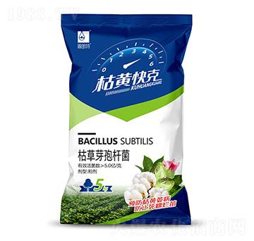 ���S���-������