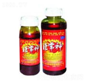 �ǳ����~���-ʿ�ֿƼ�