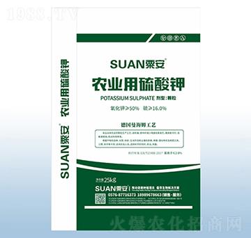 �r(n��ng)�I(y��)�������-�ڰ�