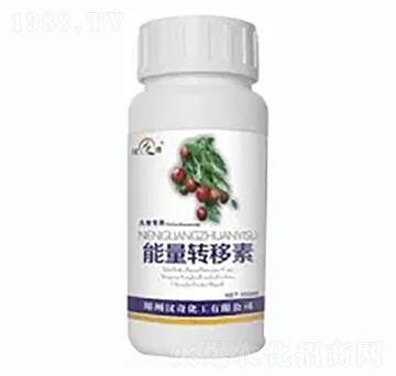 �������D����-�h�滯