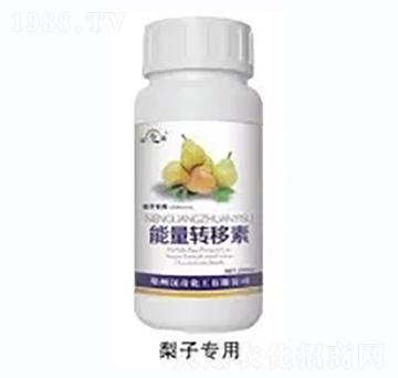 ���������D����-�h�滯