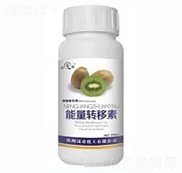 �J���������D����-�h��