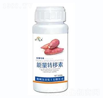 �t�������D����-�h�滯