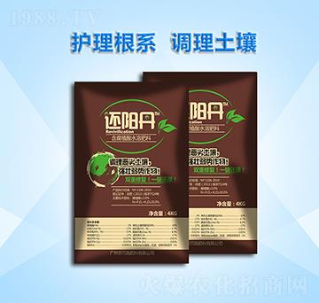 ����ֲ��ˮ�ܷ���-߀ꖵ�-�r��ʩ