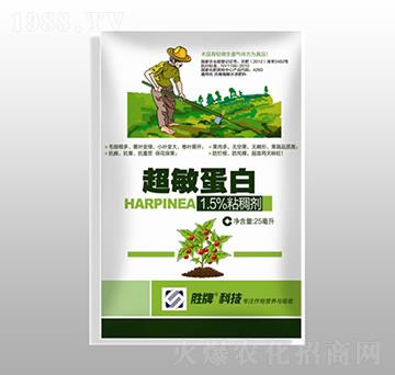 ��������-ِ�����