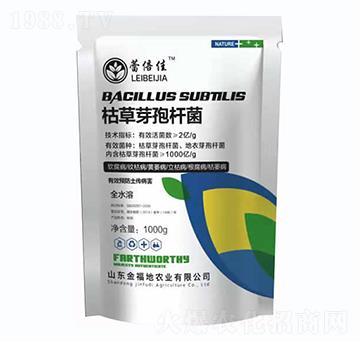 �ݲ�ѿ�ߗU��-�𸣵�