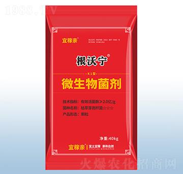 ΢�������-���֌�K1��-�ڰ�