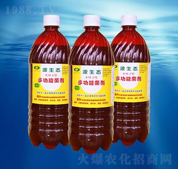 EM2̖-��������