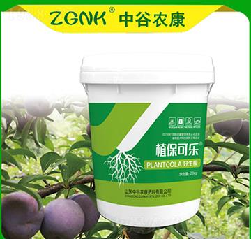 ������-ֲ���ɘ�-�й��r(n��ng)��