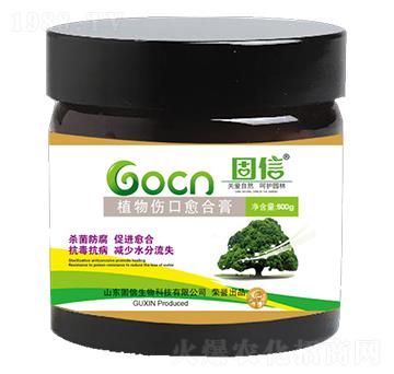 ֲ��������ϸ�-��������