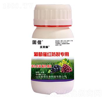 ���Ѵ߼t���ь���-��������