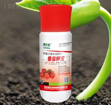 ެ��⛌�-������