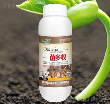 ������-������