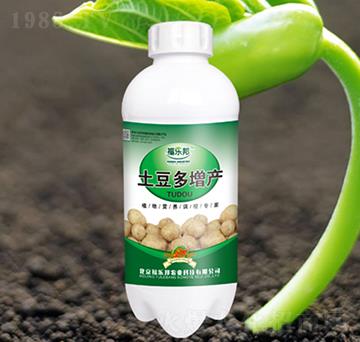 ���������a(ch��n)-������