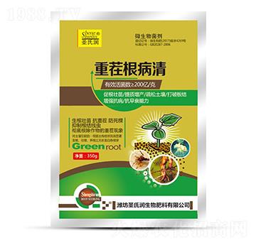 �ز������-ʥ�ϝ�